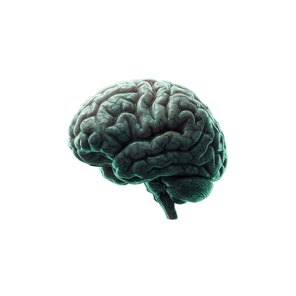 AI analyzes nutrition Highlight